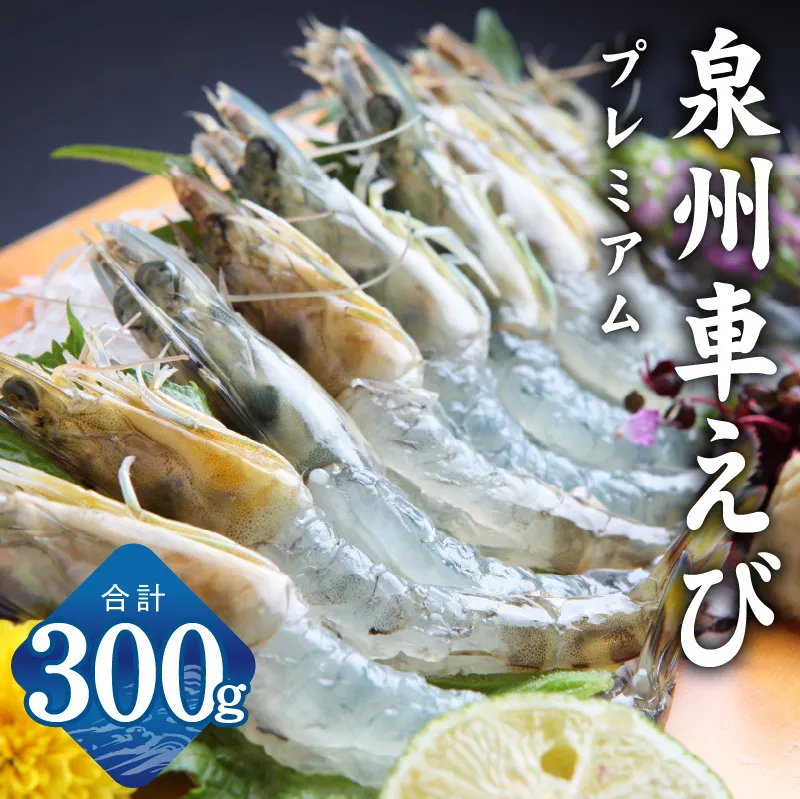 【生食可】泉州車えび 300g【先行予約】 	G2179