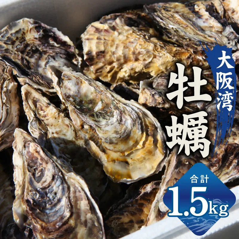 【先行予約】大阪湾牡蠣カンカン焼きセット 1.5kg G2186-1