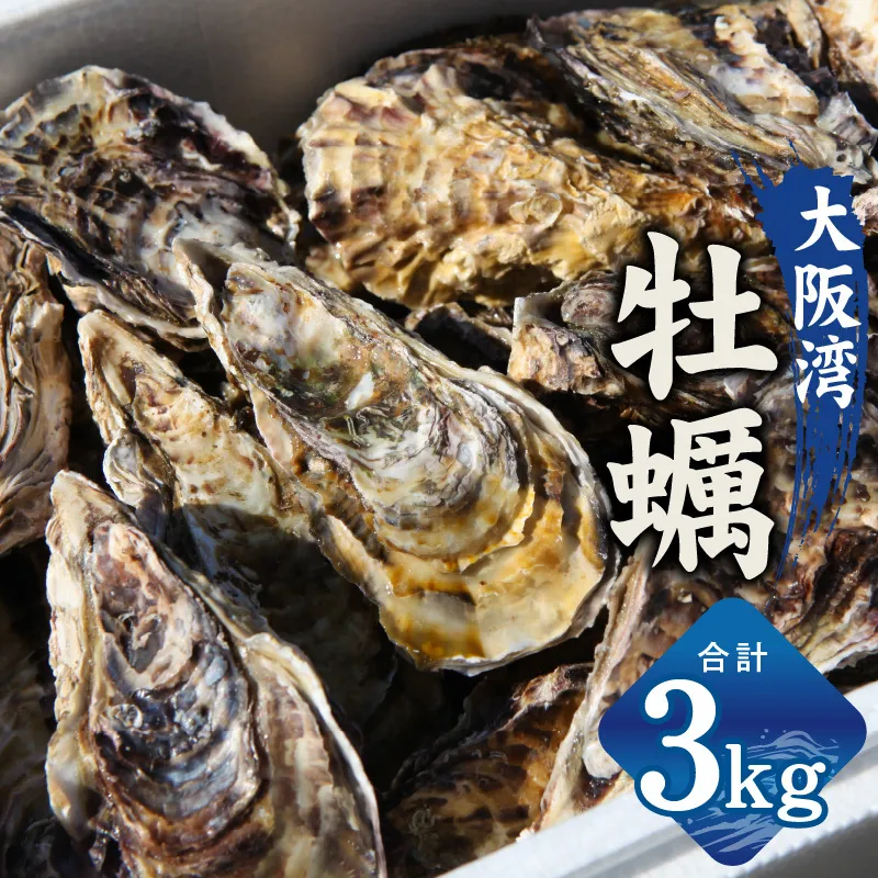 【先行予約】大阪湾牡蠣 3kg G2187