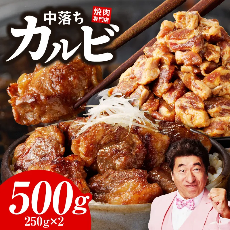 焼き肉専門店 自家製タレ漬け 中落ちカルビ 合計500g（250g×2） 099H3565