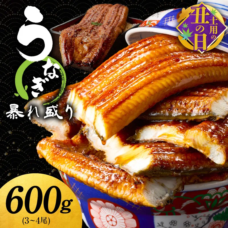 【土用の丑の日までにお届け】うなぎ 蒲焼き 暴れ盛り 合計 600g【鰻 真空パック 簡単調理 訳あり サイズ不揃い 人気 惣菜 うな重 うな丼 ひつまぶし にも】 099H3537c