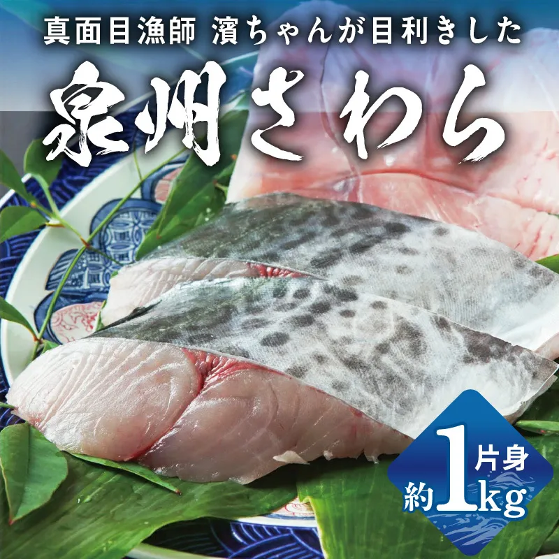 [スピード発送]泉州さわら 片身 約1kg[漁師 目利き 海鮮 鰆 泉州 新鮮 産地直送 急速冷凍 圧倒的企業努力] G2188-2