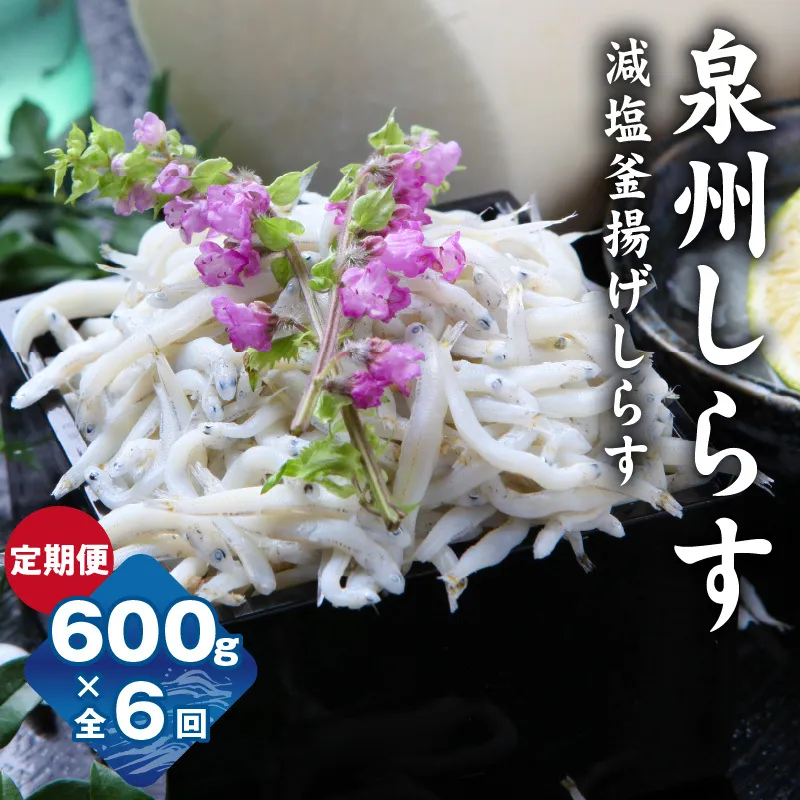 【定期便】泉州しらす （減塩釜揚げ）600g ×全6回 真面目漁師 濱ちゃんのこだわり G2190