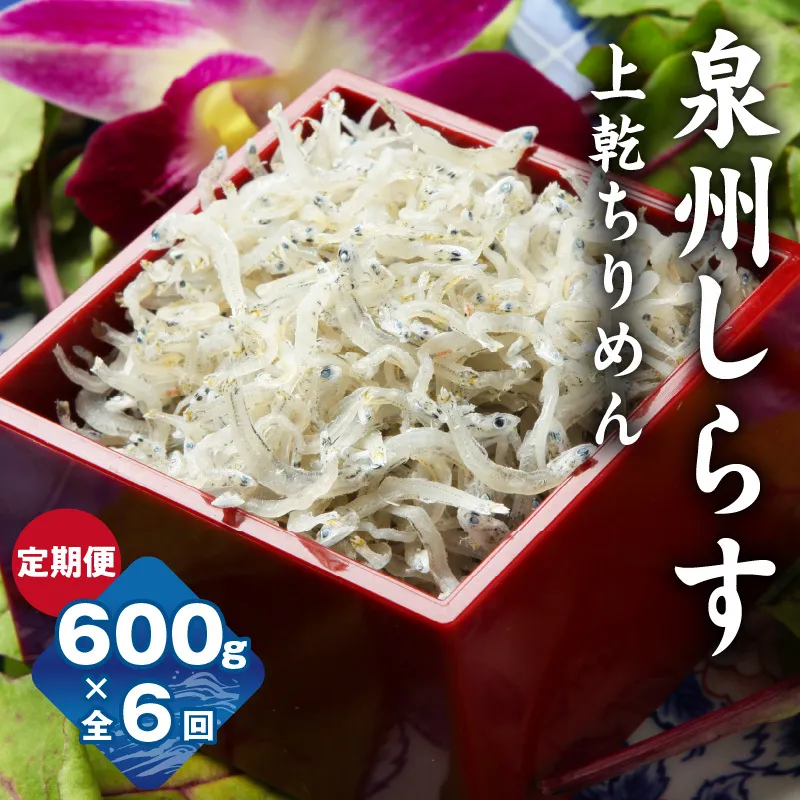 【定期便】泉州しらす （上乾ちりめん）600g×全6回 真面目漁師 濱ちゃんのこだわり G2191