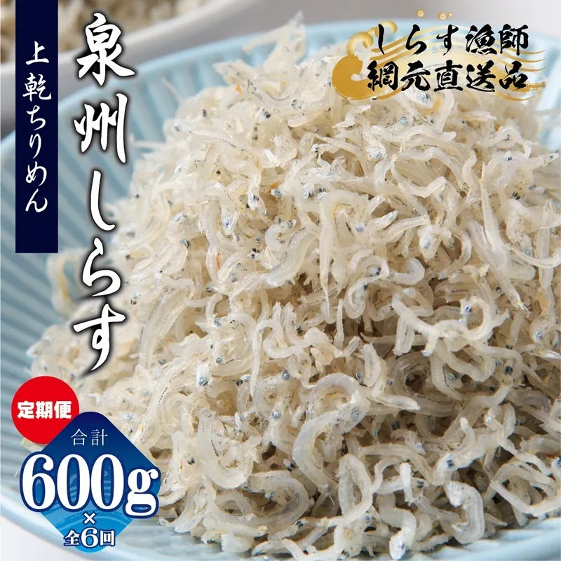 【定期便】泉州しらす （上乾ちりめん）600g×全6回 真面目漁師 濱ちゃんのこだわり G2191