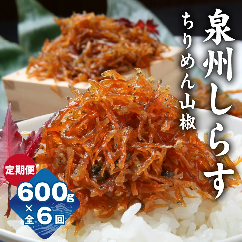【定期便】泉州しらす （ちりめん山椒）600g×全6回 真面目漁師 濱ちゃんのこだわり G2192