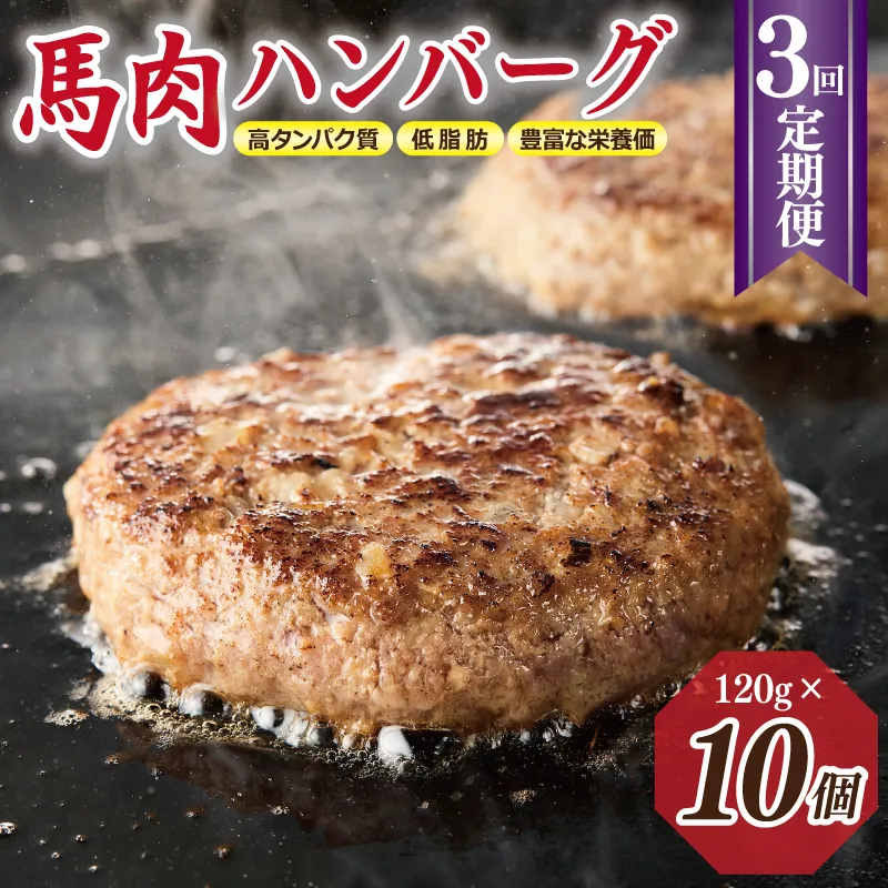 【定期便】 桜文 馬肉ハンバーグ 120ｇ×10個 全3回 【毎月配送コース】 099Z316