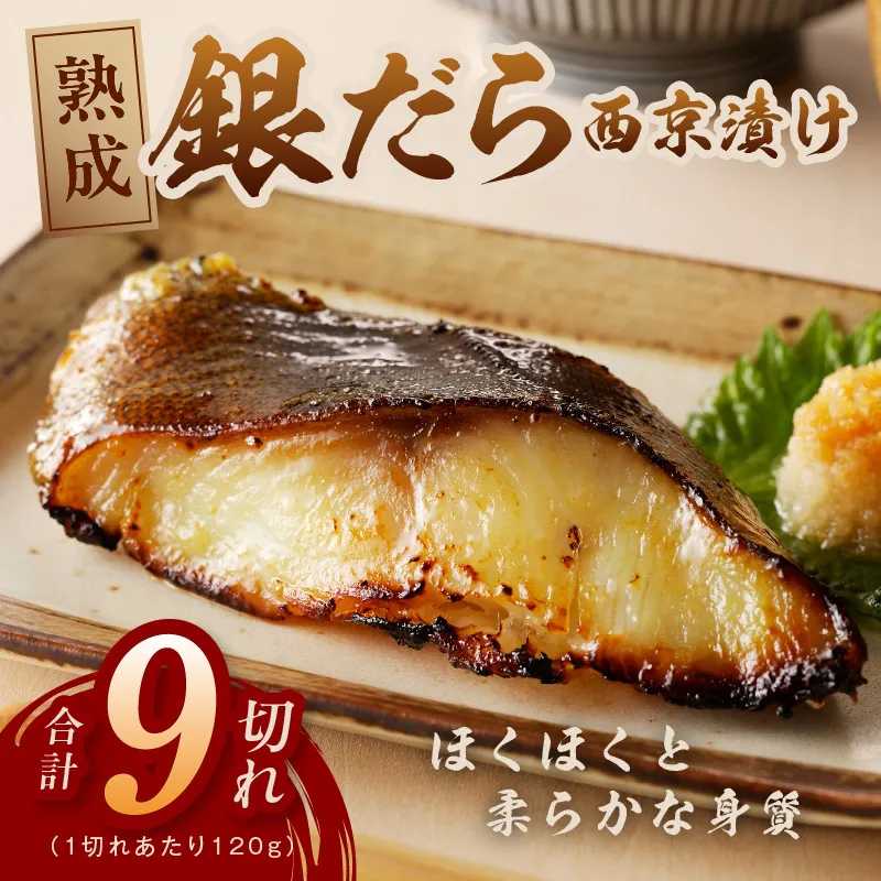 銀鱈 西京漬け 120g×9切れ【厚切り 小分け 熟成 銀だら ぎんだら ギンダラ 海産物 魚 惣菜 西京焼き 味噌 お酒のあて 訳あり サイズ不揃い 家計応援 切り落とし】 G2256