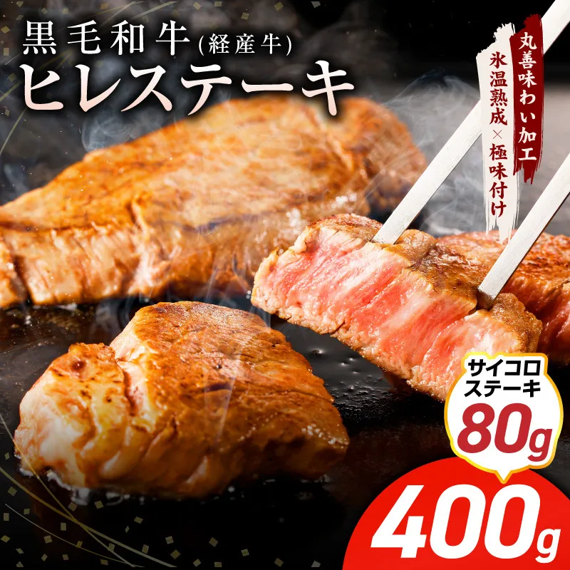 【特別規格】黒毛和牛 ヒレステーキ ＋ サイコロステーキ 合計 480g【氷温熟成×極味付け 牛肉 和牛 経産牛 訳あり サイズ不揃い 規格外 数量限定】 mrz0319