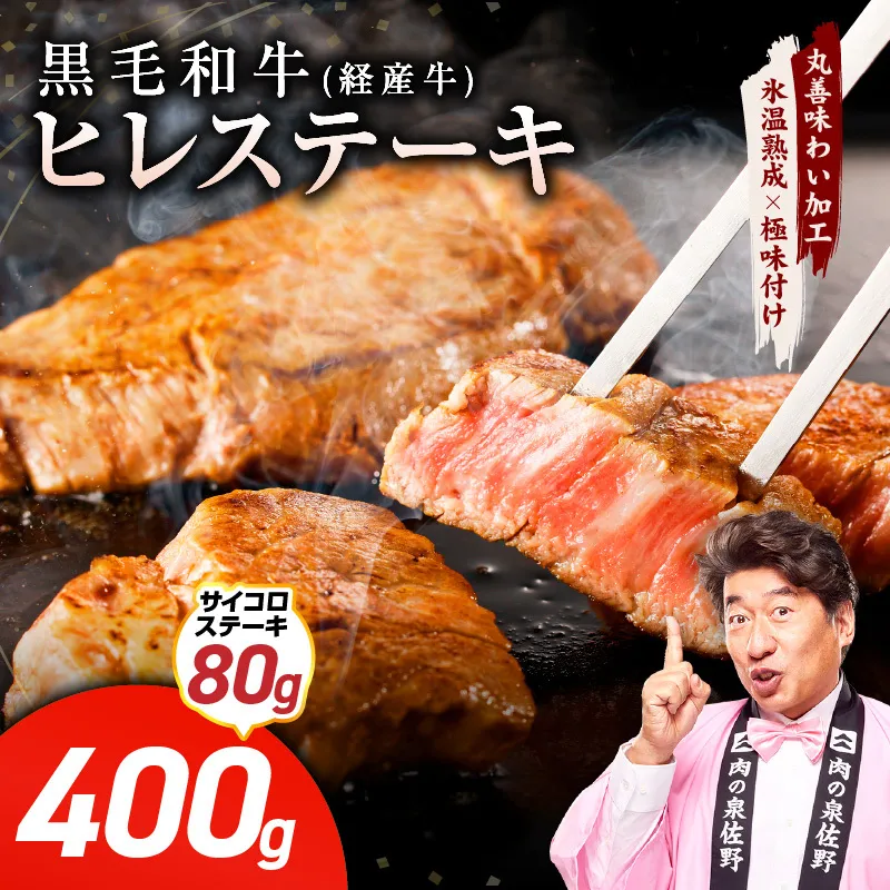 黒毛和牛 ヒレステーキ ＆ サイコロステーキ 合計 480g【氷温熟成×極味付け 牛肉 和牛 経産牛 訳あり サイズ不揃い 規格外 数量限定】 mrz0319