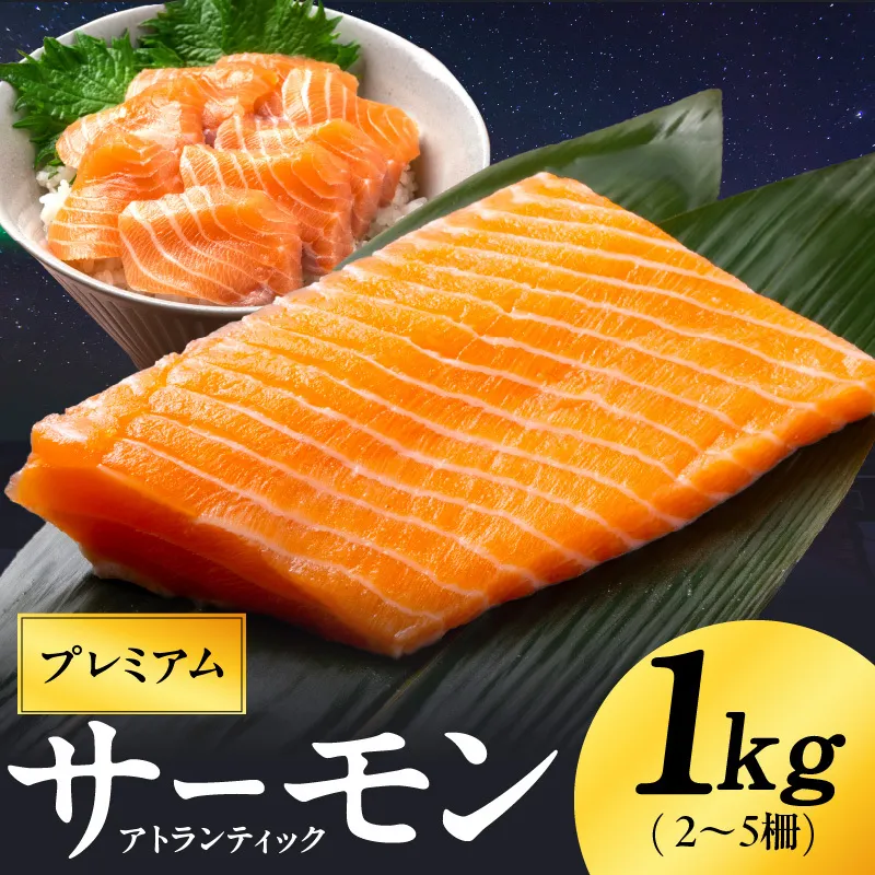 ノルウェー産 プレミアム アトランティックサーモン 1kg 【2～5柵 訳あり サイズ不揃い 上質 刺身 海鮮丼 サラダ 冷凍 物価高応援】 G1890