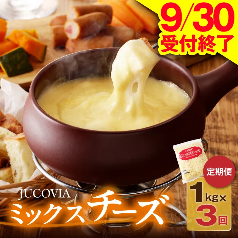 【9/30受付終了】JUCOVIA ミックスチーズ 定期便 1kg×全3回【小分け 普段使い 高評価 ちーず 乳製品 ムラカワチーズ 一人暮らし ファミリー ピザ トースト】 099Z336