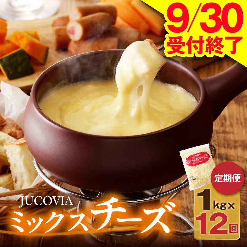 【9/30受付終了】JUCOVIA ミックスチーズ 定期便 1kg×全12回【小分け 普段使い 高評価 ちーず 乳製品 ムラカワチーズ 一人暮らし ファミリー ピザ トースト】 099Z338