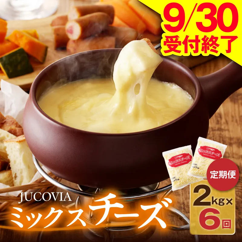 【9/30受付終了】JUCOVIA ミックスチーズ 定期便 2kg×全6回【小分け 普段使い 高評価 ちーず 乳製品 ムラカワチーズ 一人暮らし ファミリー ピザ トースト】 099Z339
