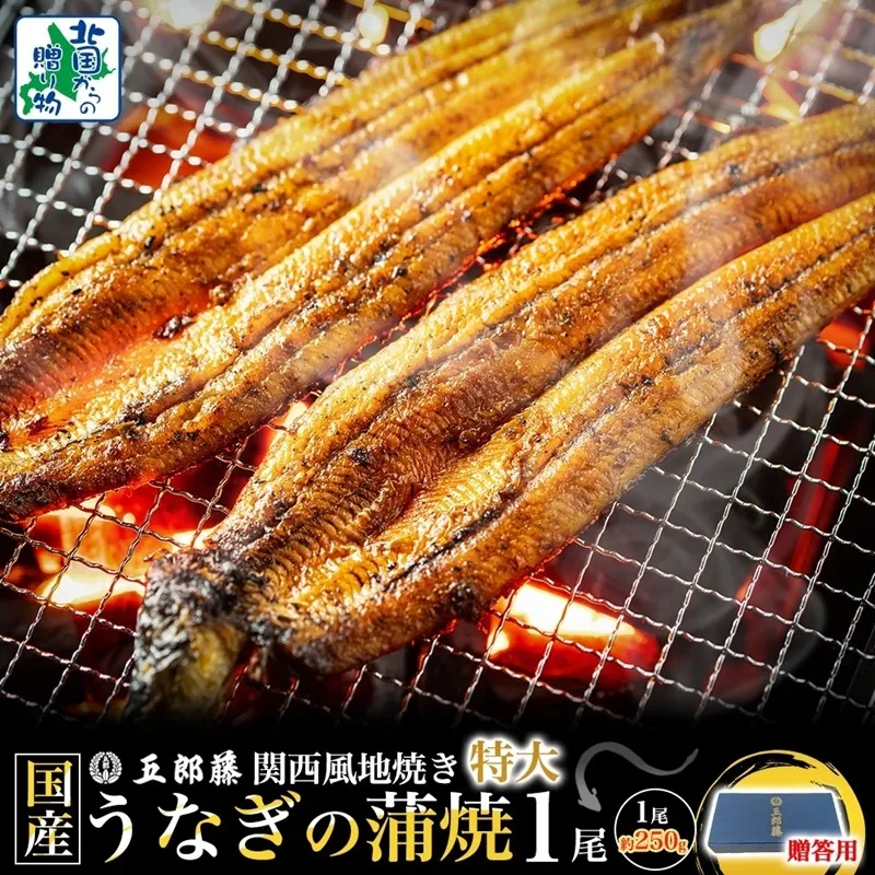 【贈答用】五郎藤 関西風地焼き 国産有頭旨鰻 250g×1尾 計約250g 特大 うなぎ ウナギ 蒲焼き 炭火 099H3443-1