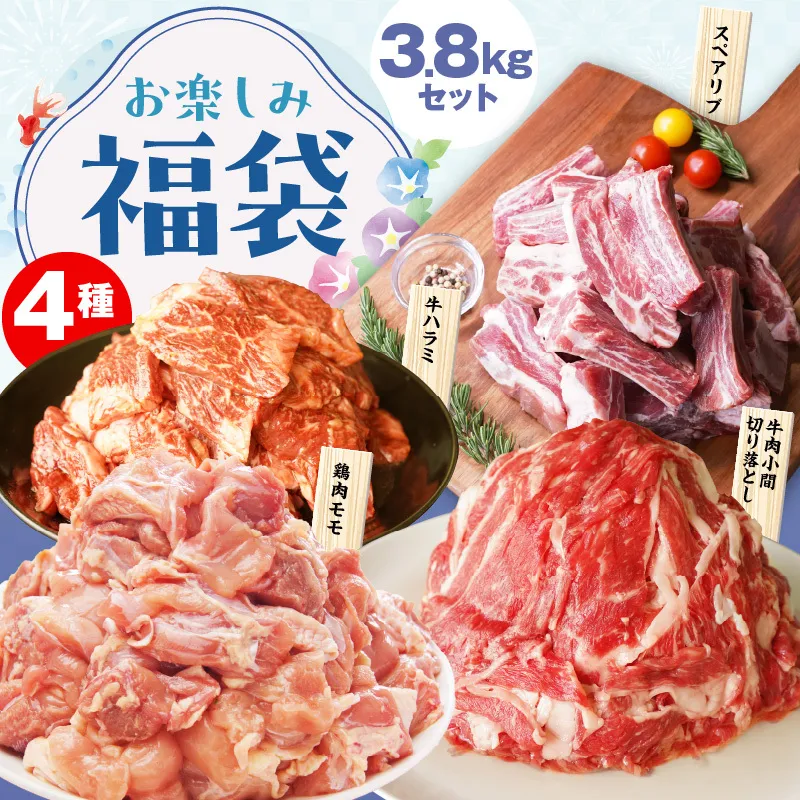 【夏の肉福袋】4種 3.8kg 焼肉セット（牛肉 切り落とし／牛ハラミ／豚肉 スペアリブ／鶏肉）【氷温熟成×極味付け 焼くだけ 食べ比べ ふくぶくろ お楽しみ 簡単調理】 mrz0155