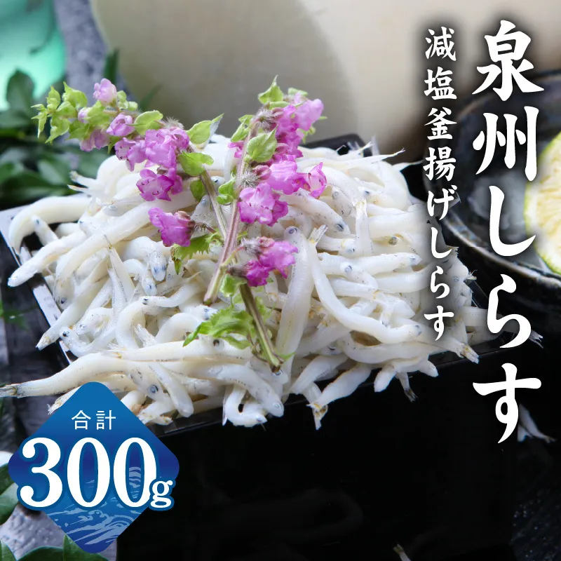 【お試し】しらす漁師が自らお届け！真面目漁師 濱ちゃんのこだわり 減塩 釜揚げしらす 300g 小分け 150g×2P G2864