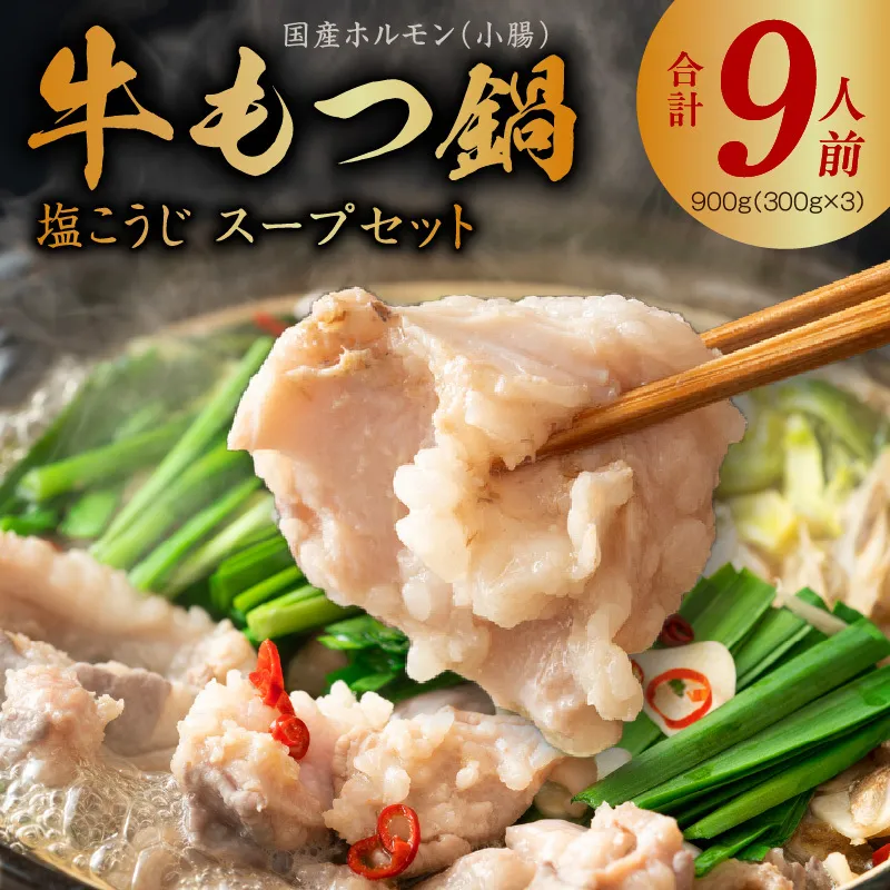 【年内発送】国産 牛もつ鍋セット 9人前 ホルモン 塩こうじ スープセット G1774y