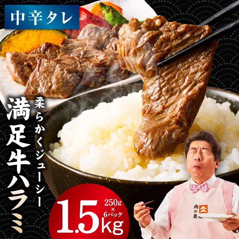 【満足牛ハラミ】中辛タレ漬け 合計1.5kg 【味付け ハラミ 小分け 焼くだけ 簡単調理 BBQ 牛肉 250g×6P 普段使い】 099H4189
