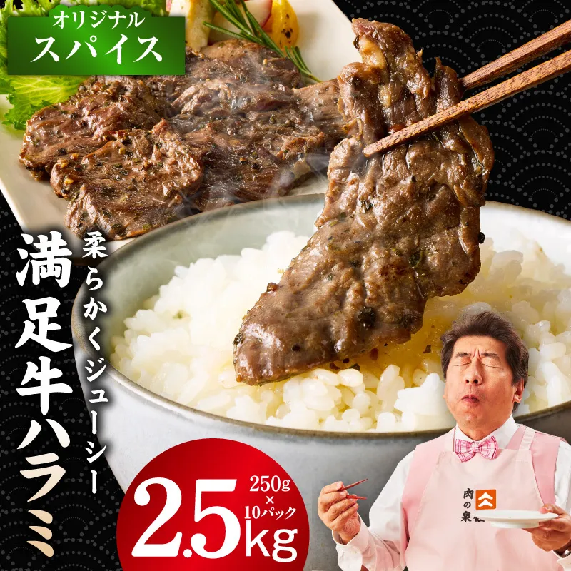 【満足牛ハラミ】オリジナルスパイス仕込み 合計2.5kg 【味付け ハラミ 小分け 焼くだけ 簡単調理 BBQ 牛肉 250g×10P】 G3407