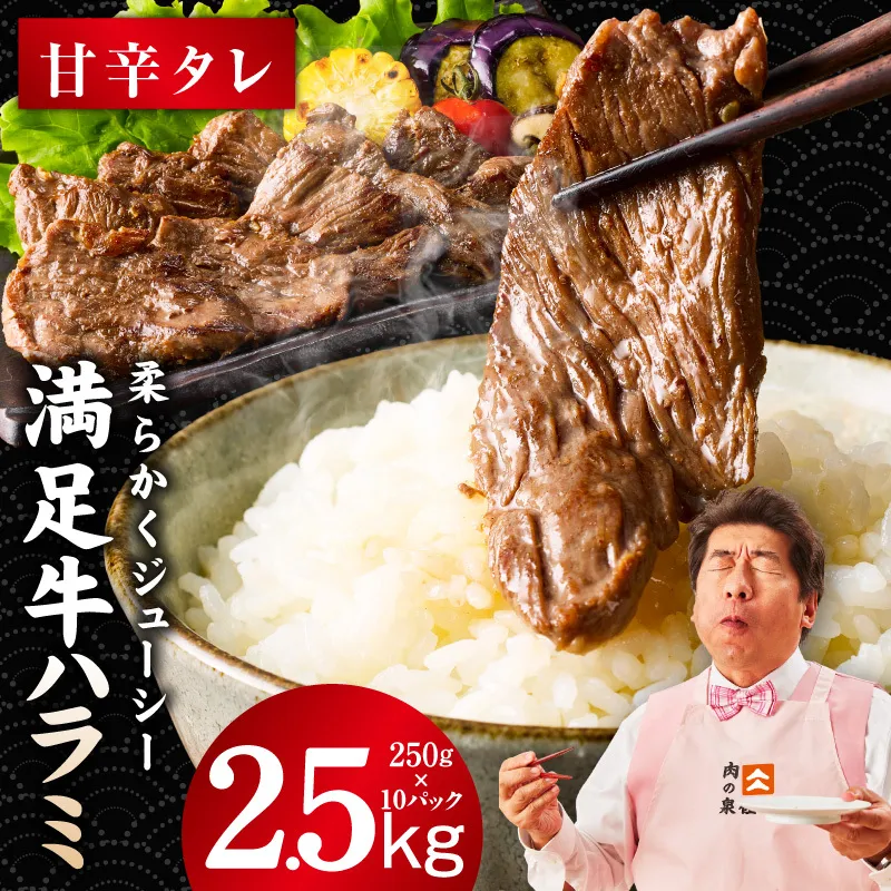 【満足牛ハラミ】甘辛タレ漬け 合計2.5kg 【味付け ハラミ 小分け 焼くだけ 簡単調理 BBQ 牛肉 250g×10P】 G3413