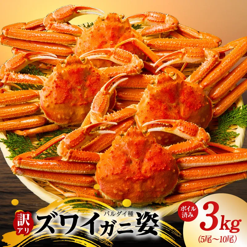 【訳あり規格】バルダイ種 ズワイガニ姿 3kg（5～10尾）【ボイル済み オオズワイガニ かに カニ 蟹 ズワイガニ ファミリー向け】 kgp0104