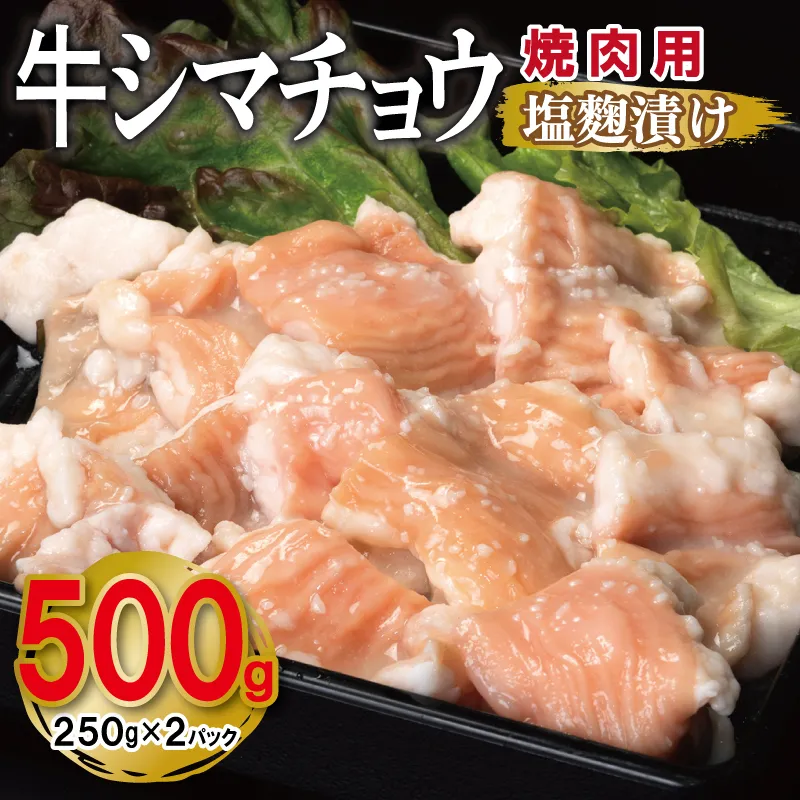 牛シマチョウ 焼肉用 塩麹漬け 500g【味付け 小分け 250g×2P 焼くだけ 簡単調理 BBQ 牛肉 ホルモン お試し 普段使い】 099H4210