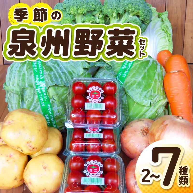 季節の野菜セット 2～7種類【国産 新鮮 おまかせ 詰め合わせ】 G3452