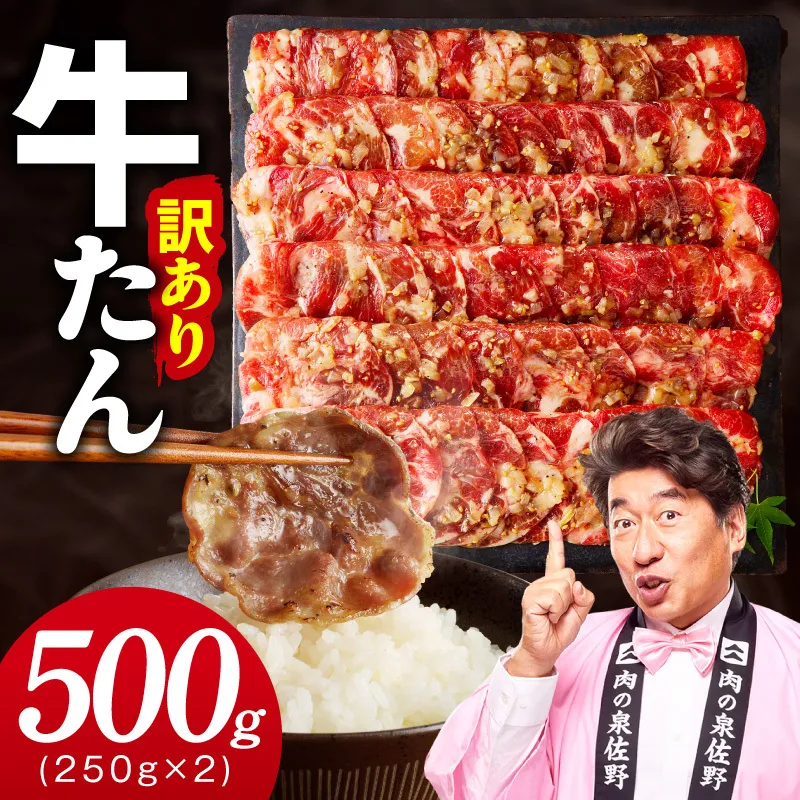 牛たん 500g ねぎ塩 小分け 250g×2P【お試し 成型 牛タン 牛肉 焼肉 BBQ 薄切り ぎゅうたん スライス 訳あり サイズ不揃い】 099H4737