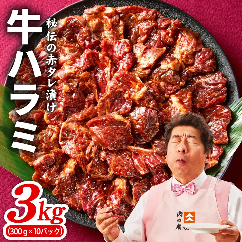 【TVで紹介！】牛ハラミ肉 3kg（300g×10）秘伝の赤タレ漬け 訳あり サイズ不揃い 099H4053