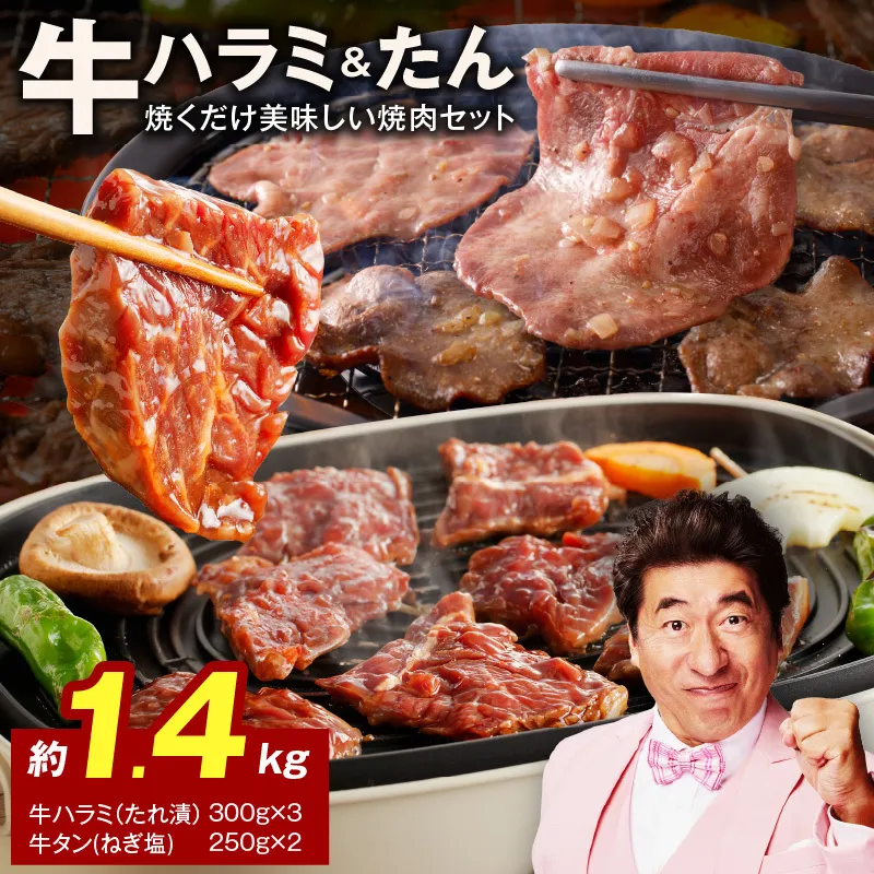 大人気 ファミリー向け 焼肉セット 牛たん 牛ハラミ肉 合計1.4kg【牛肉 焼くだけ 小分け BBQ やきにく 数量限定】 099H4054