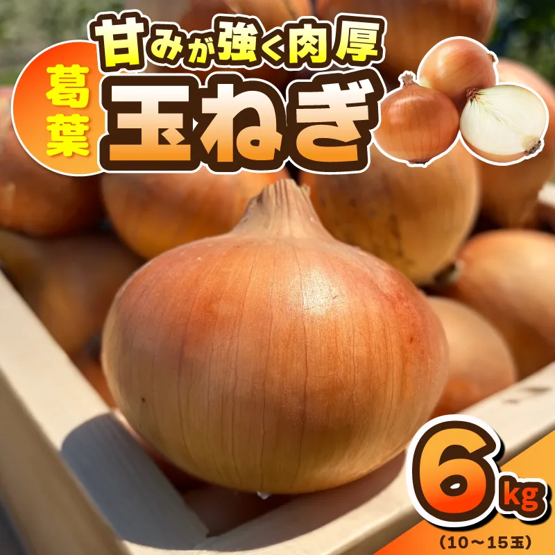 【先行予約】葛葉玉ねぎ 6kg【10〜15玉 泉佐野市 泉州たまねぎ 肉厚 甘い】 010B1773