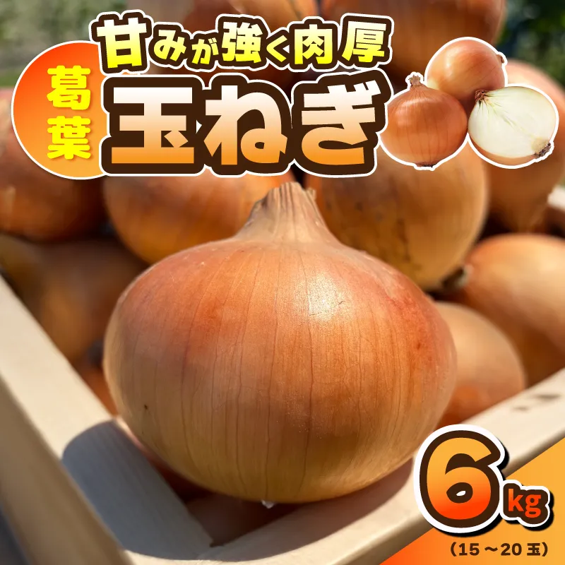 葛葉玉ねぎ 6kg【15〜20玉 泉佐野市 泉州たまねぎ 肉厚 甘い】 010B1773