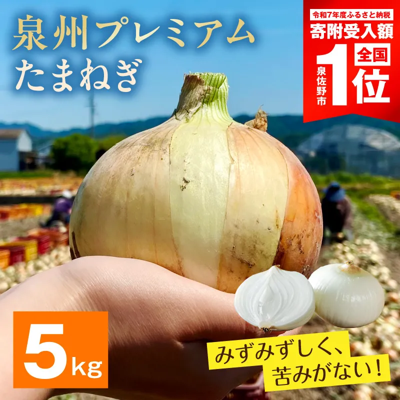 【8/20 受付終了】プレミアムたまねぎ 5kg【泉州 玉ねぎ タマネギ 玉葱 甘い 野菜 国産 オニオン サラダ カレー バーベキュー】 G3689-1