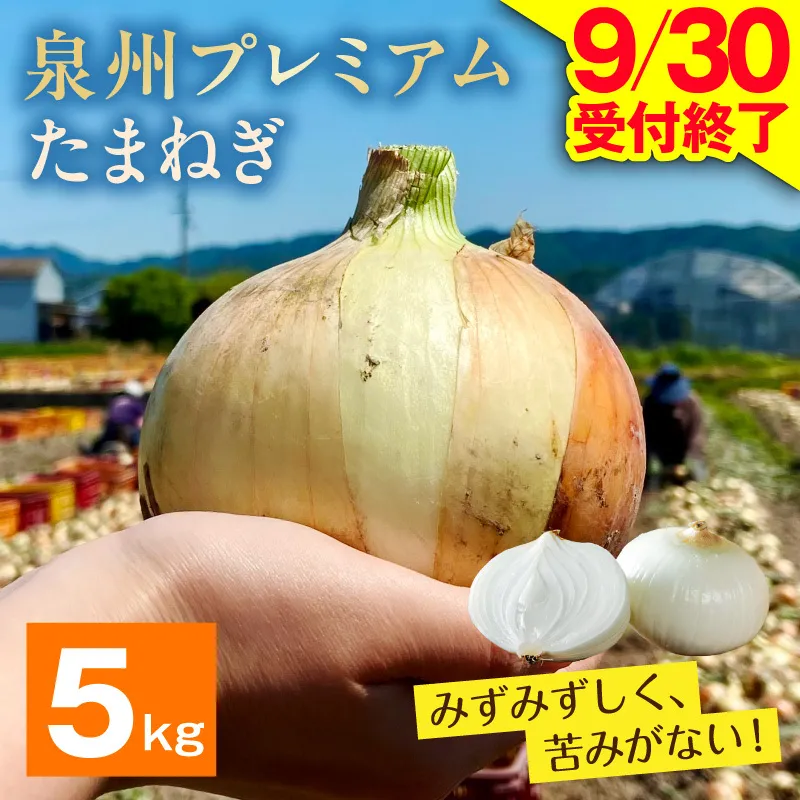 プレミアムたまねぎ 5kg【泉州 玉ねぎ タマネギ 玉葱 甘い 野菜 国産 オニオン サラダ カレー バーベキュー】 G3689-1