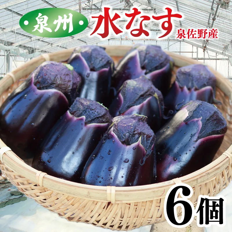 【先行予約】泉州 泉佐野市産 ハウス水なす 6個【茄子 泉佐野産 とれたて 新鮮野菜 やさい 高評価 数量限定】 005A759