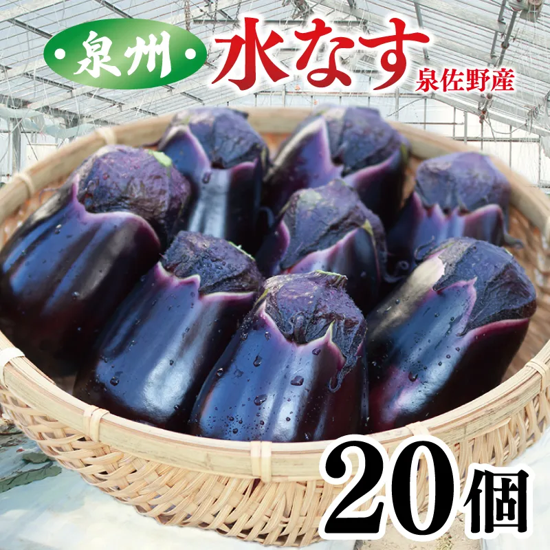 【先行予約】泉州 泉佐野市産 ハウス水なす 20個【茄子 泉佐野産 とれたて 新鮮野菜 やさい 高評価 数量限定】 099H4104