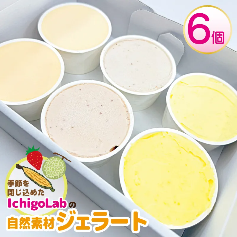 自然素材 ジェラート 6個 食べ比べ【アイス スイーツ 季節のじぇらーと いちご メロン トウモロコシ IchigoLab】 010B1779