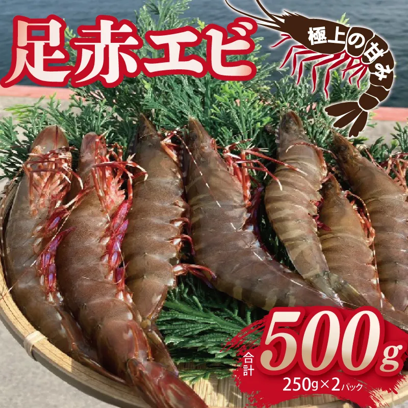 足赤エビ 500g【国産 えび 天然 ぷりぷり 海鮮 水揚げ 生食可】 015B593