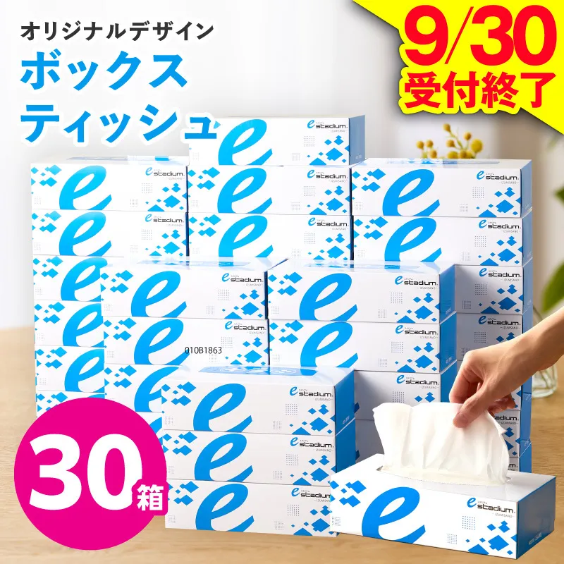 【9/30受付終了】ボックスティッシュ 30箱【生活用品 雑貨 日用品 必需品 紙 常備品 まとめ買い 備蓄 防災 ティッシュペーパー てぃっしゅ ティッシュ eスポーツ応援 泉佐野市オリジナル】 010B1863