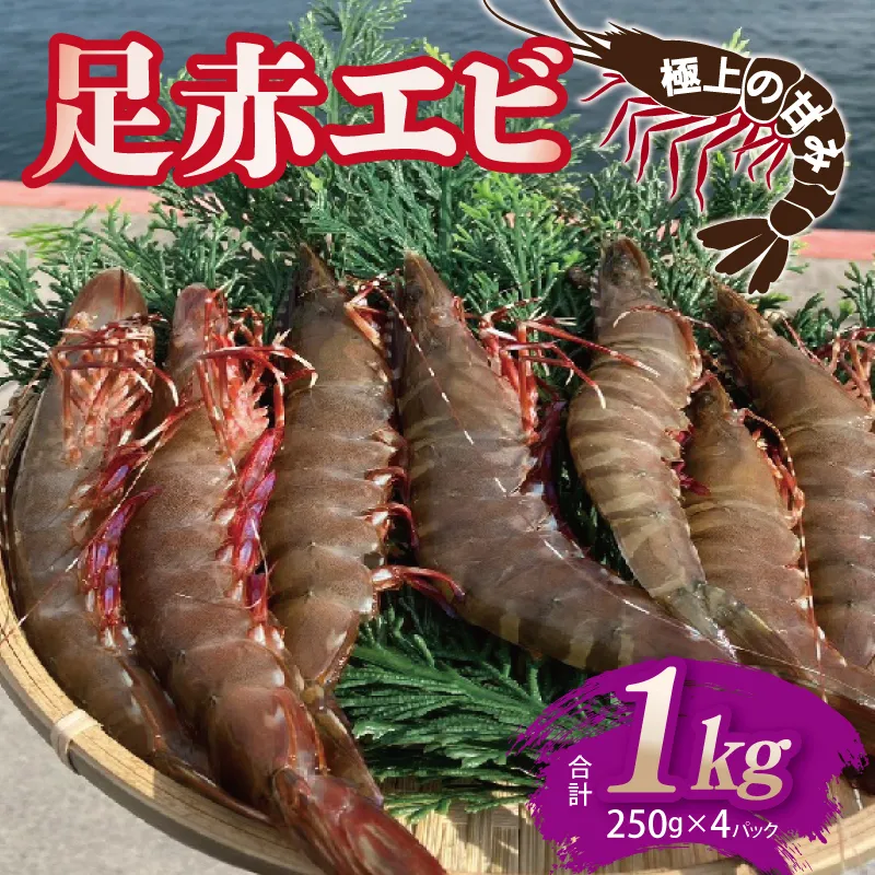 足赤エビ 1kg【国産 えび 天然 ぷりぷり 海鮮 水揚げ 生食可】 030D229