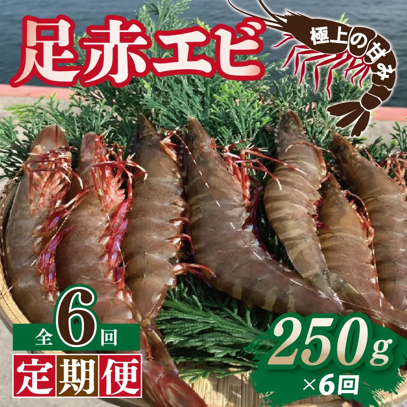 【定期便】足赤エビ 250g×全6回 計1.5kg【国産 えび 天然 ぷりぷり 海鮮 水揚げ 生食可】 099Z387