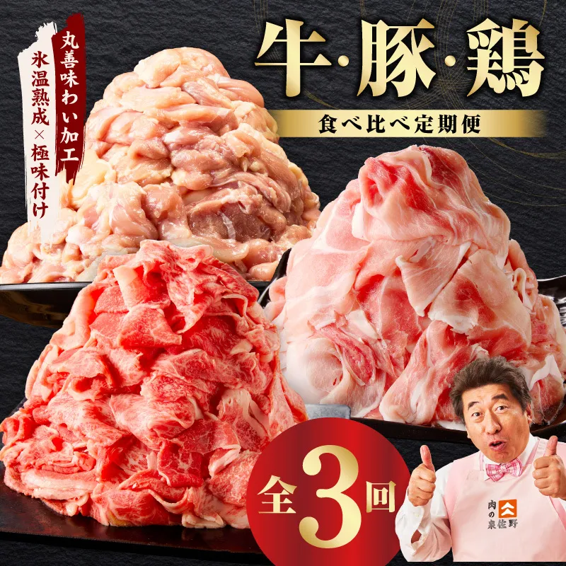 国産 牛肉 豚肉 鶏肉 定期便 3回 総量 4.2kg 【氷温熟成×極味付け 3種 食べ比べ 普段使い 味付き 小分け 訳あり サイズ不揃い 毎月配送コース】 mrzZ017
