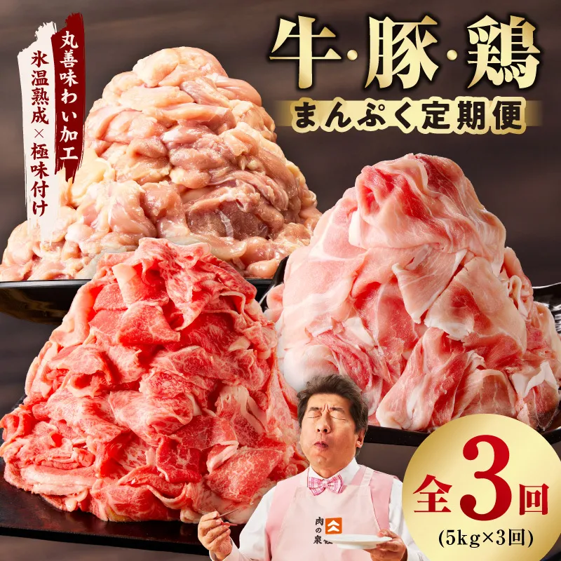 国産 牛肉&豚肉&鶏肉 まんぷく 定期便 5kg×3回[氷温熟成×極味付け 3種 食べ比べ 普段使い 味付き 小分け 訳あり サイズ不揃い]