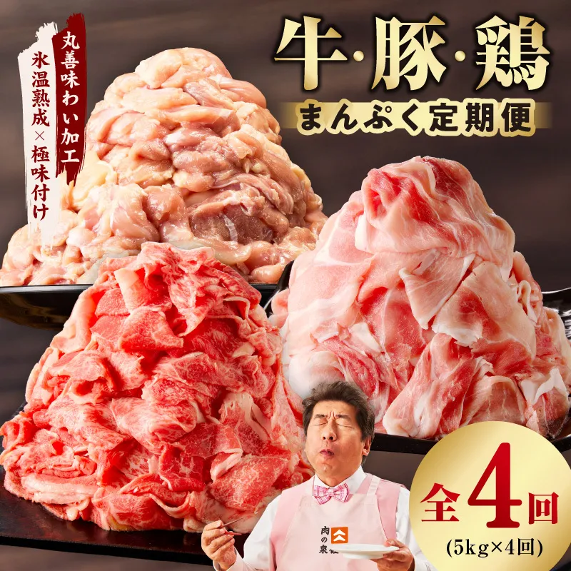 国産 牛肉＆豚肉＆鶏肉 まんぷく 定期便 5kg×4回【氷温熟成×極味付け 3種 食べ比べ 普段使い 味付き 小分け 訳あり サイズ不揃い 】 mrzZ021