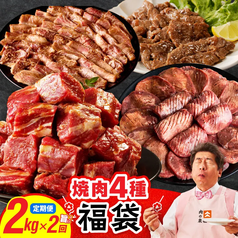 焼肉 福袋 4種セット 定期便 2kg×2回【氷温熟成×特製ダレ 食べ比べ 小分け 500g 牛肉 牛タン ヒレ ハラミ バラ 数量限定 毎月配送コース】 mrzZ026