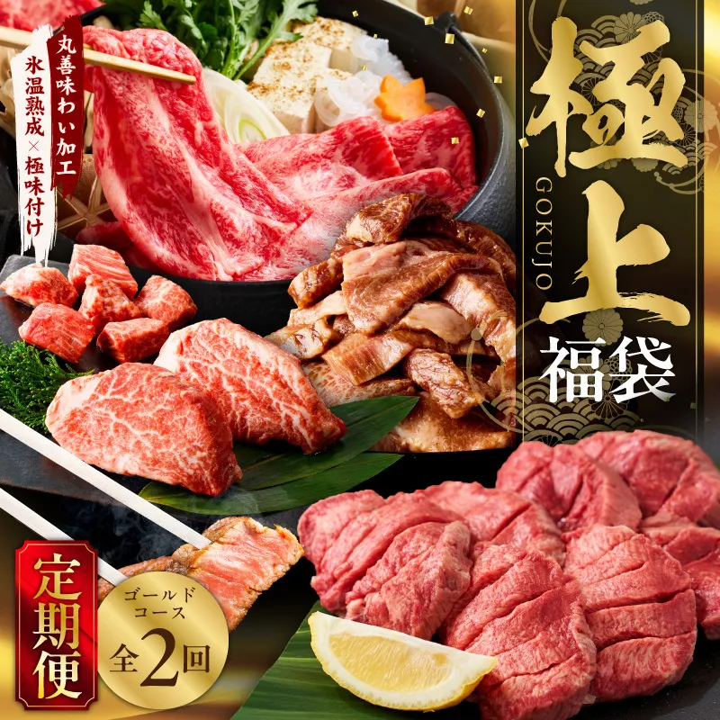極上福袋 定期便 ゴールドコース 全2回[5種 食べ比べ 牛肉 ステーキ 牛タン 焼肉 しゃぶしゃぶ すき焼き 氷温熟成×極味付け 毎月配送コース]