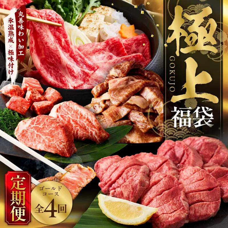 極上福袋 定期便 ゴールドコース 全4回【5種 食べ比べ 牛肉 ステーキ 牛タン 焼肉 しゃぶしゃぶ すき焼き 氷温熟成×極味付け 毎月配送コース】 mrzZ031
