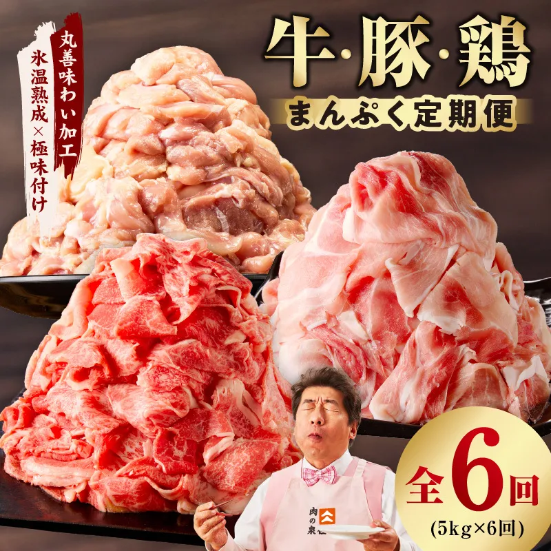 国産 牛肉＆豚肉＆鶏肉 まんぷく 定期便 5kg×6回【氷温熟成×極味付け 3種 食べ比べ 普段使い 味付き 小分け 訳あり サイズ不揃い 】 mrzZ032