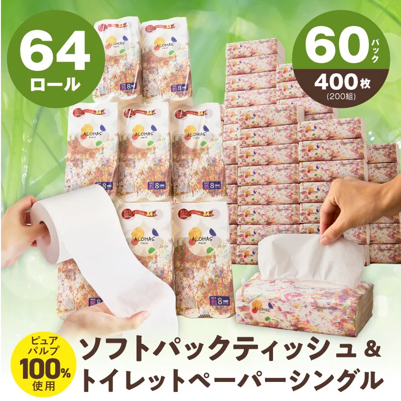 【定期便】 ソフトパックティッシュ400枚×60パック & トイレットペーパー シングル 85M巻×64ロールセット【生活用品 雑貨 日用品 必需品 常備品 まとめ買い 備蓄 防災】 099Z507
